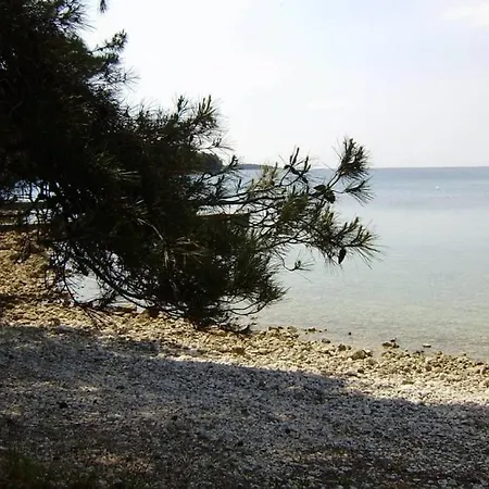 Apartment Losinj Terrace Apartment: Comfort For 7 With Modern Amenities *