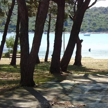 Apartment Losinj Terrace Apartment: Comfort For 7 With Modern Amenities Mali Losinj