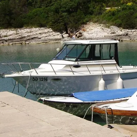Losinj Terrace Apartment: Comfort For 7 With Modern Amenities Apartment *