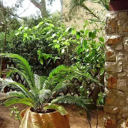 Losinj Terrace Apartment: Comfort For 7 With Modern Amenities Apartment